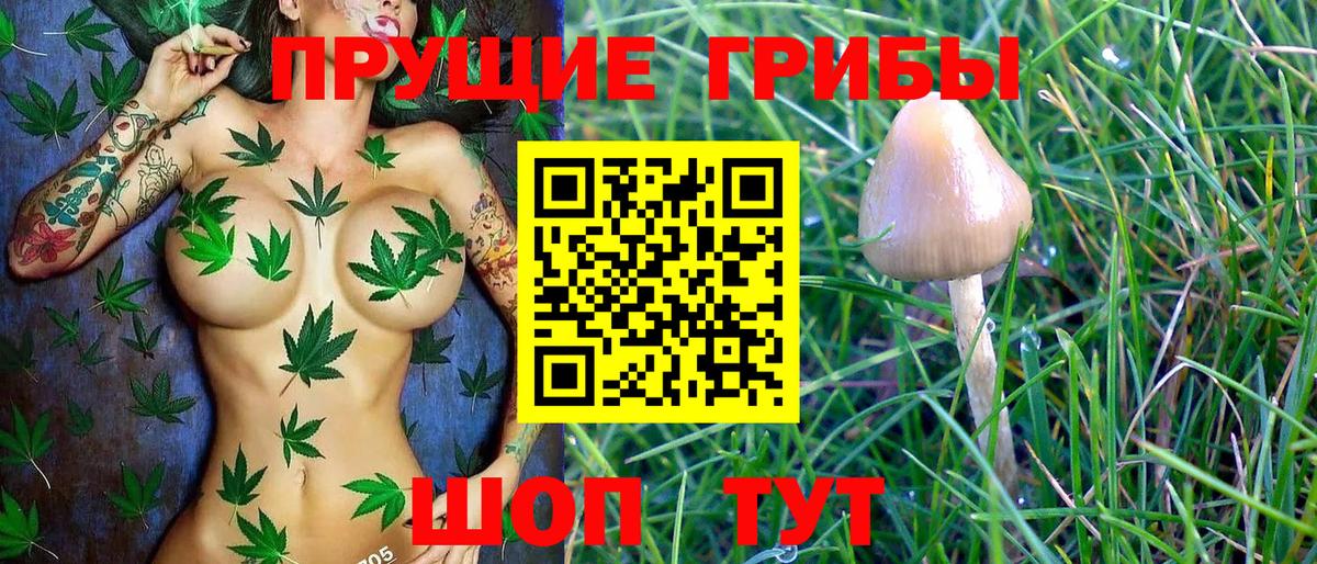 Псилоцибиновые грибы Cubensis  Галлюциногенные грибы Psilocybe  Вход с VPN  Вышний Волочёк 