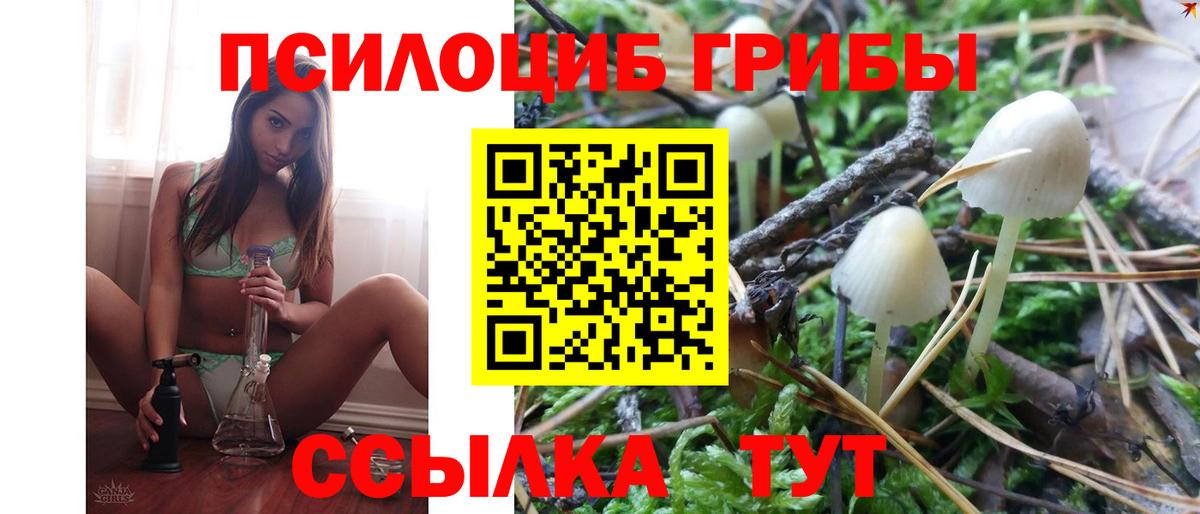 Галлюциногенные грибы Psilocybine cubensis Вышний Волочёк